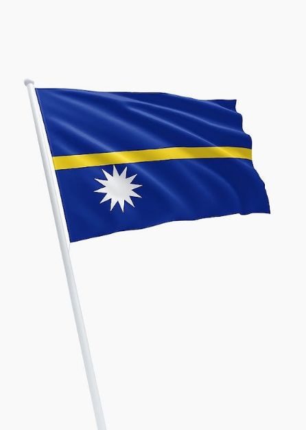 Vlag Nauru - 150x225cm Spun-Poly